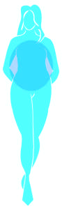 O_Bodyshapes