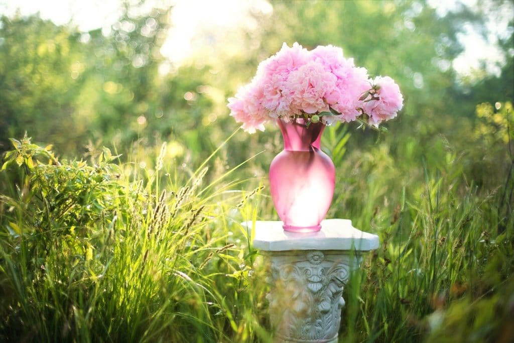 Eltern hochzeitswünsche der Segenswünsche zur